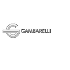 Gi Gambarelli